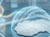 malaria blog