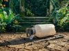 malaria blog1